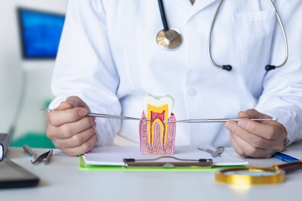 Best Mobile Emergency Dentist in Palm Springs, CA
